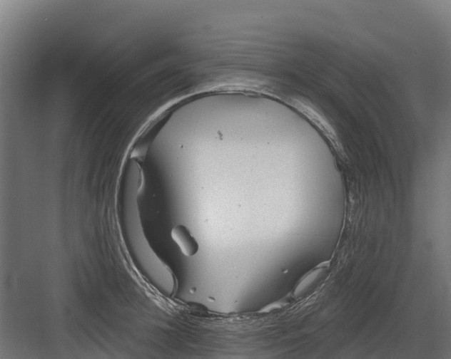 X0000082160948200702092214