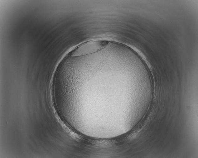 X0000082160949200702092214