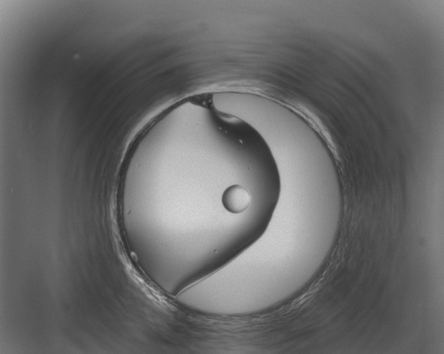 X0000082160952200702092214