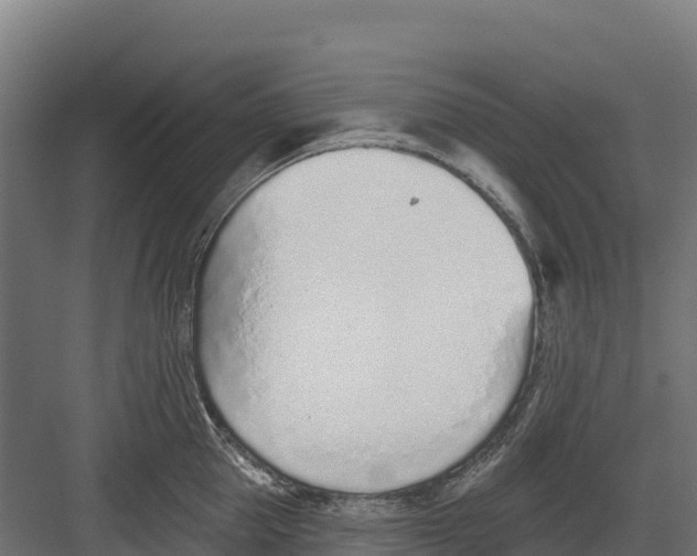 X0000082160953200702092214