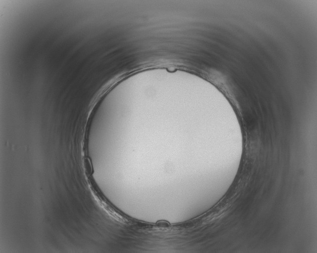 X0000082160954200702092214