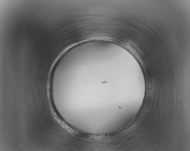 X0000082160955200702092214