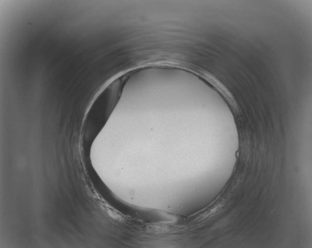 X0000082160956200702092214