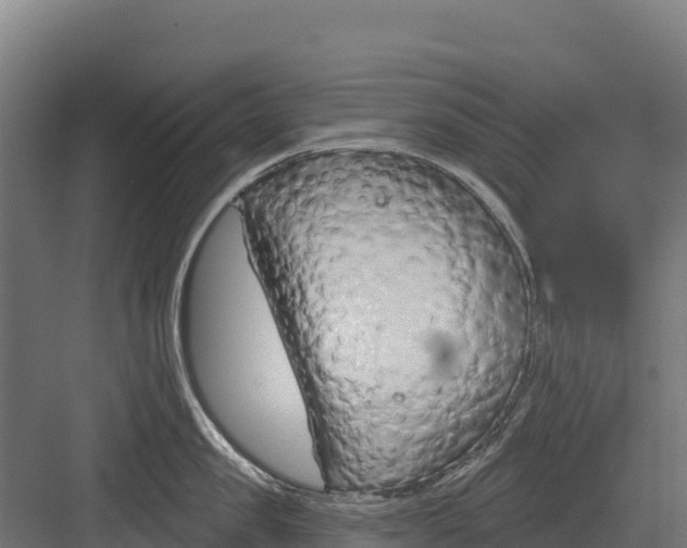 X0000082160957200702092214