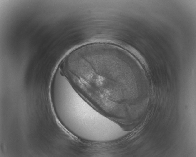 X0000082160958200702092214