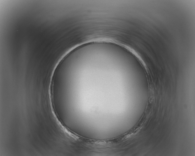 X0000082160959200702092214