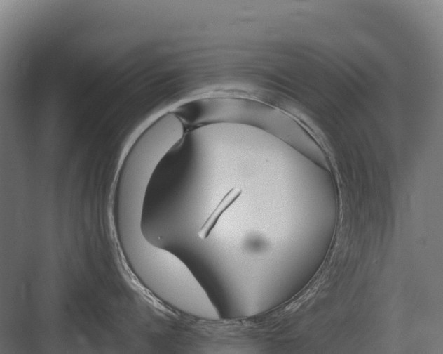 X0000082160960200702092214