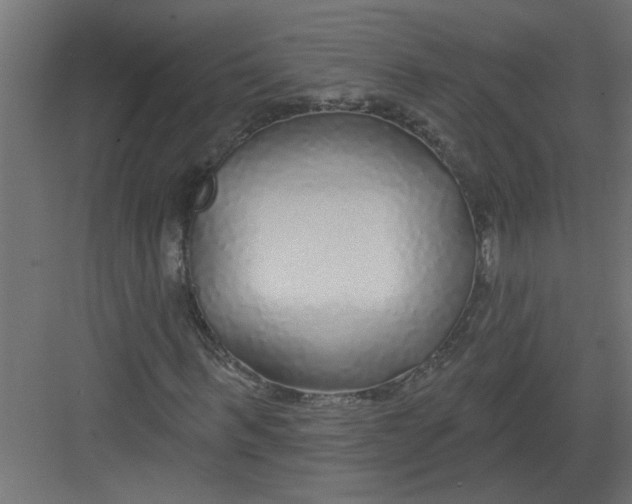 X0000082160963200702092213