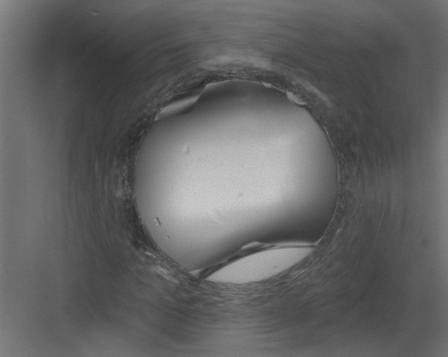 X0000082160965200702092213