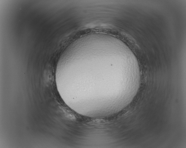 X0000082160966200702092213