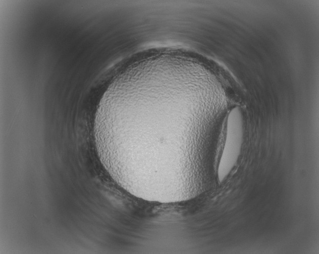 X0000082160967200702092213