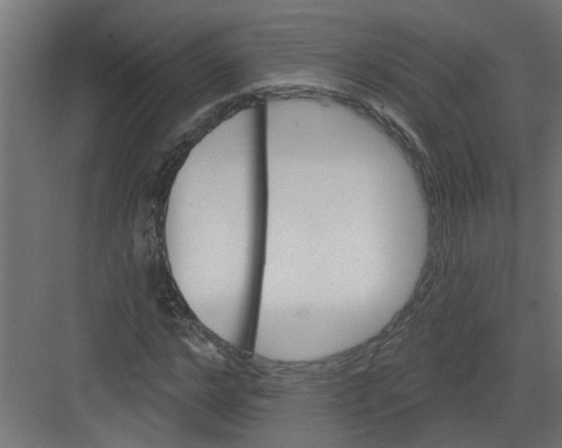 X0000082160968200702092213