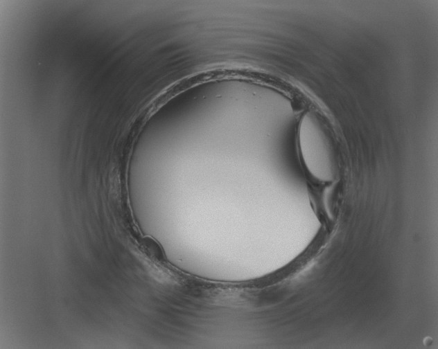 X0000082160969200702092213