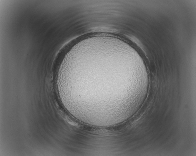 X0000082160971200702092213