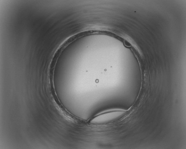 X0000082160972200702092213