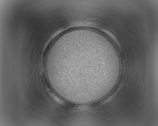 X0000082160974200702092213