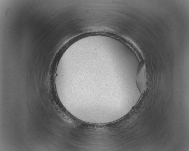 X0000082160975200702092213