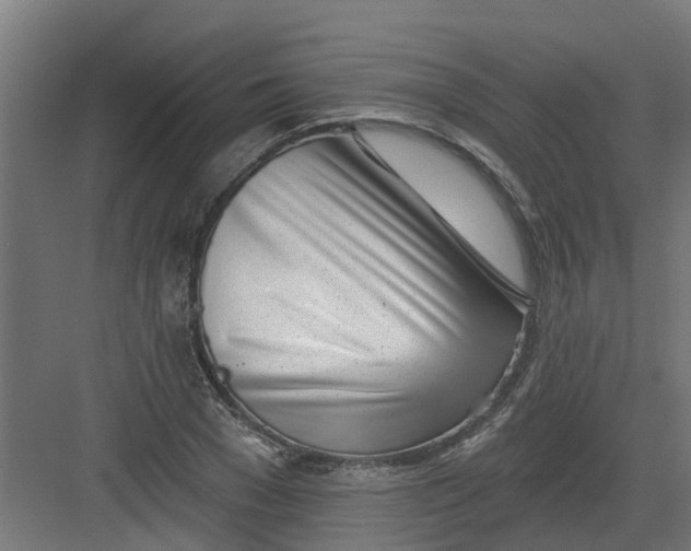 X0000082160977200702092213