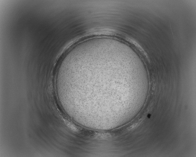 X0000082160978200702092213