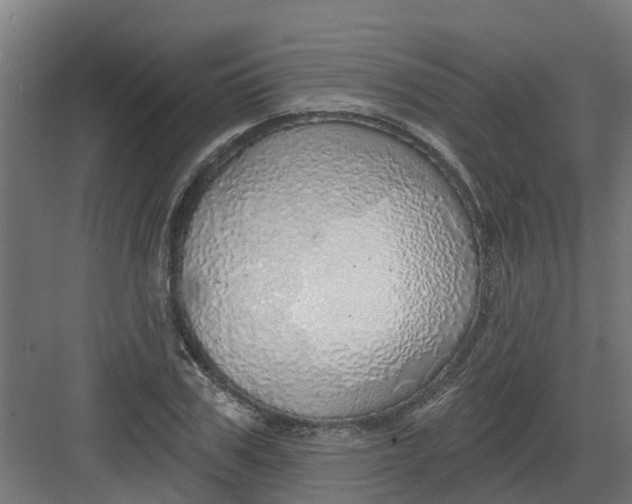 X0000082160979200702092213