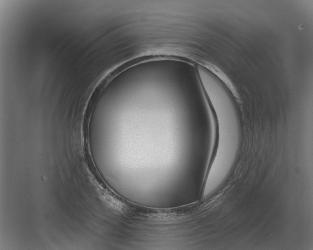 X0000082160980200702092213