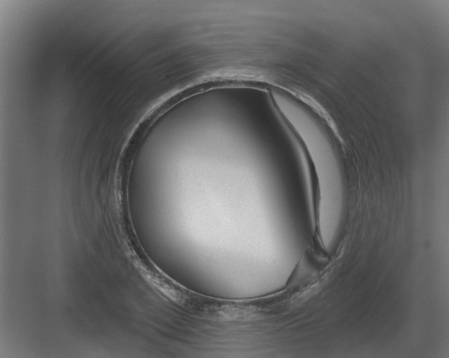 X0000082160981200702092213