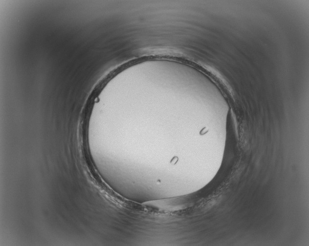 X0000082160983200702092213