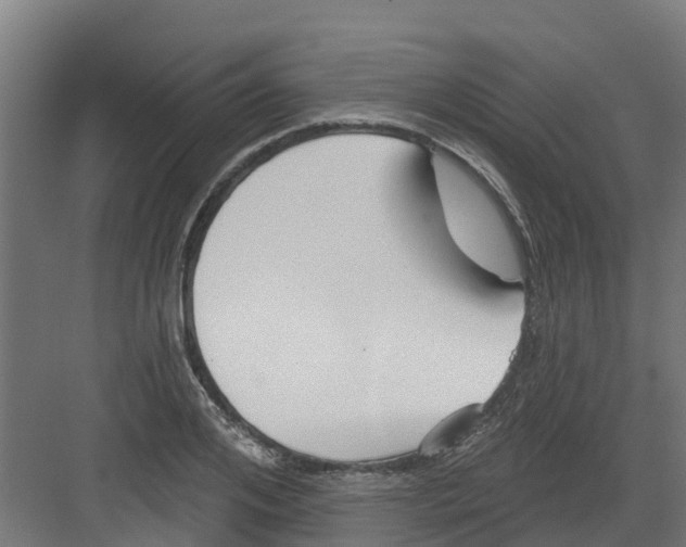 X0000082160984200702092213