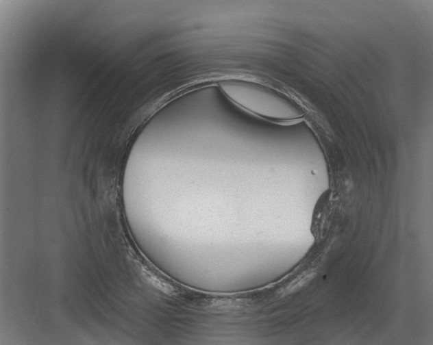 X0000082160985200702092213