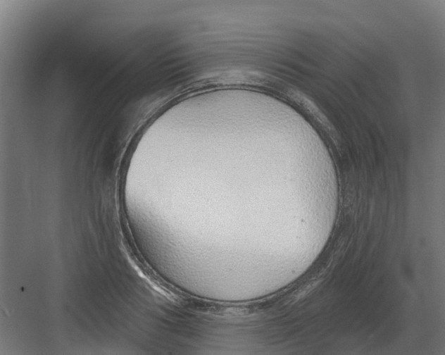 X0000082160986200702092213