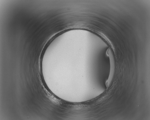 X0000082160988200702092213