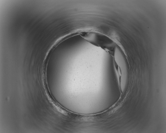 X0000082160989200702092213