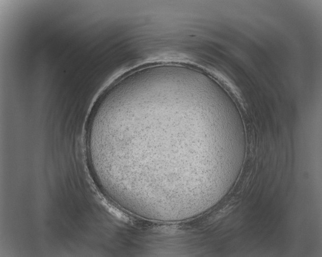 X0000082160990200702092213