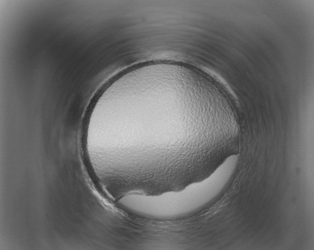 X0000082160991200702092213