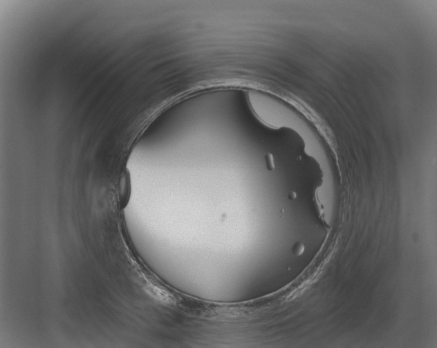 X0000082160993200702092213