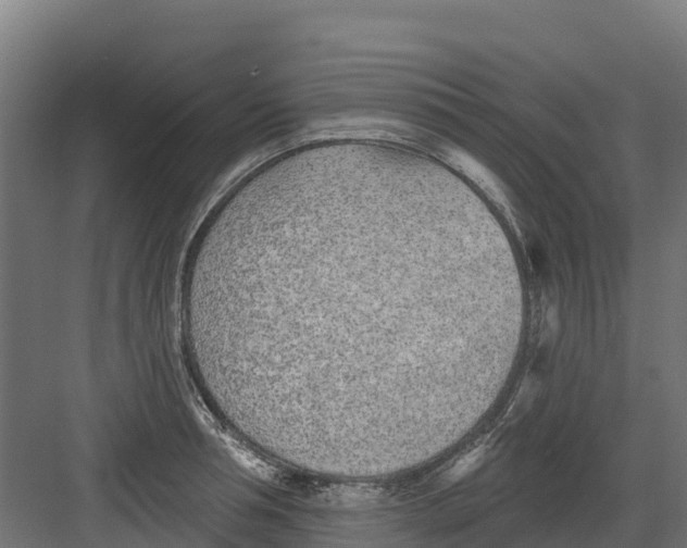 X0000082160994200702092213