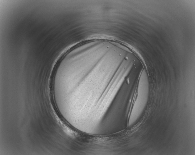 X0000082160995200702092213