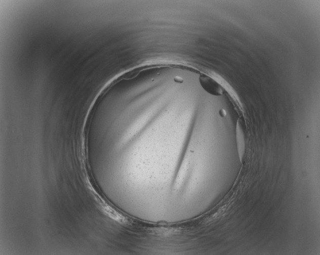 X0000082160996200702092213