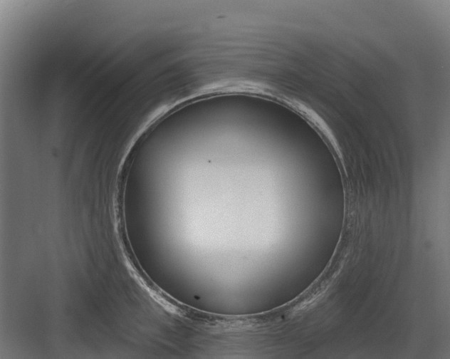 X0000082160997200702092213