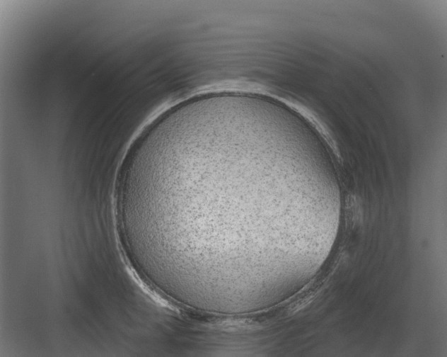 X0000082160998200702092213