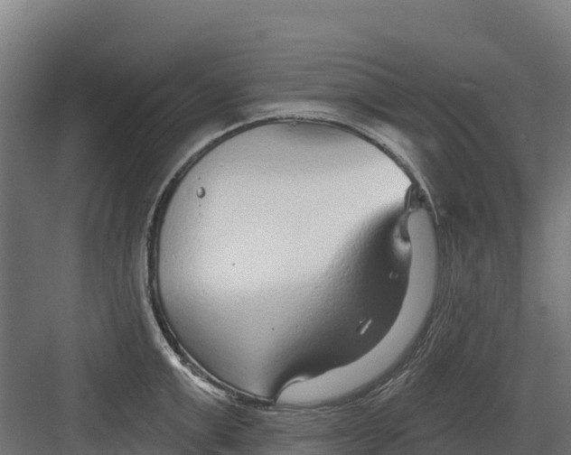 X0000082160999200702092213