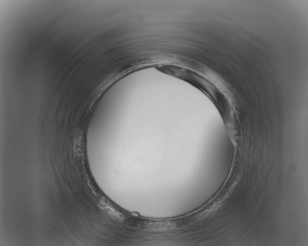 X0000082161001200702092213