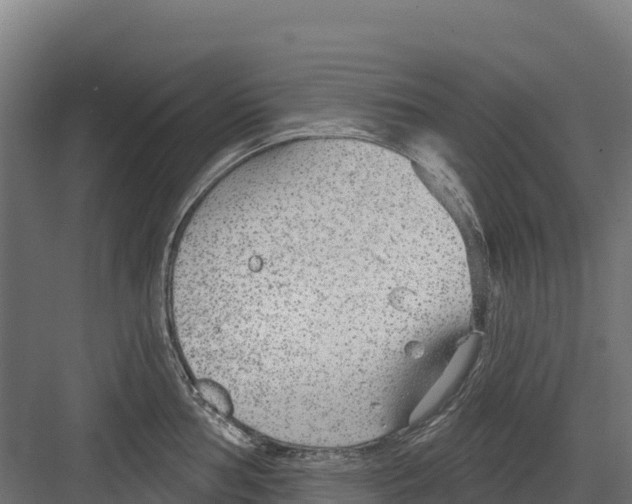 X0000082161002200702092213