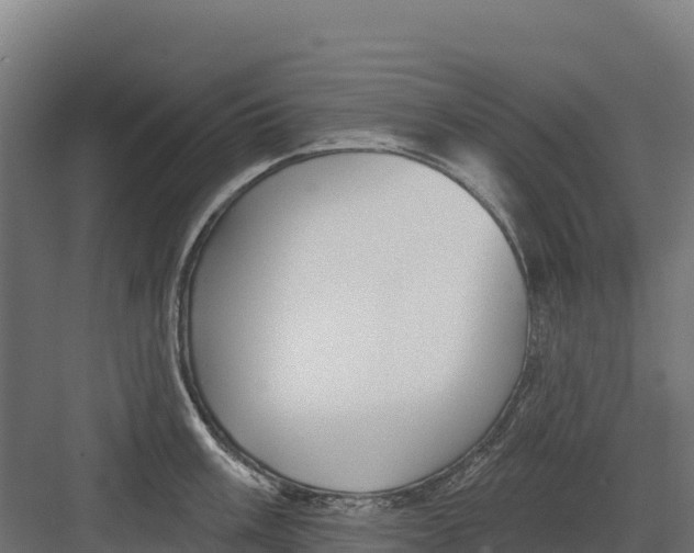 X0000082161003200702092213