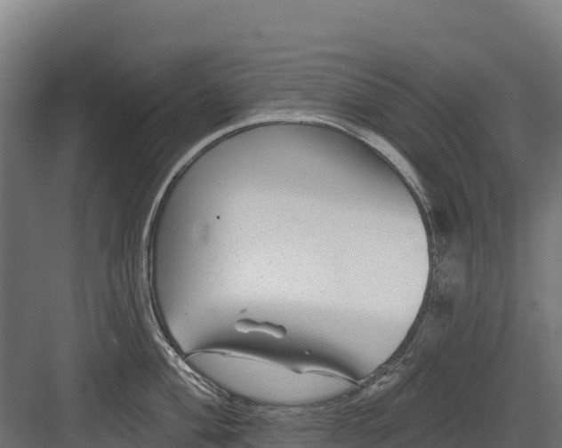 X0000082161004200702092213