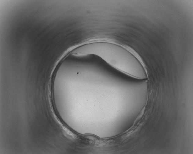 X0000082161005200702092213