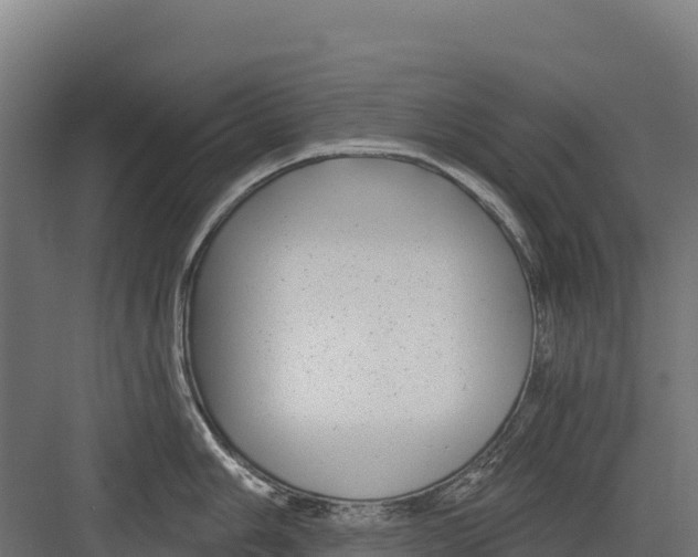 X0000082161006200702092213