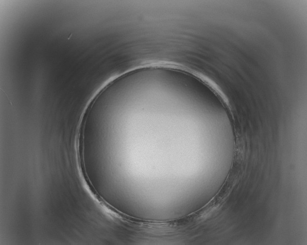 X0000082161007200702092213