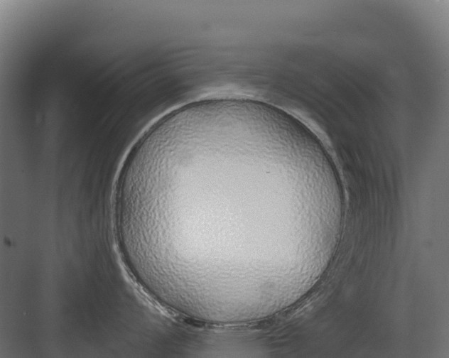 X0000082161008200702092213