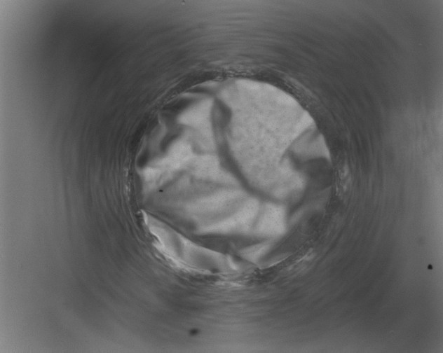 X0000082161010200702092212